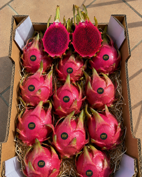 Pitahaya Premium — Fruta del Dragón seleccionada