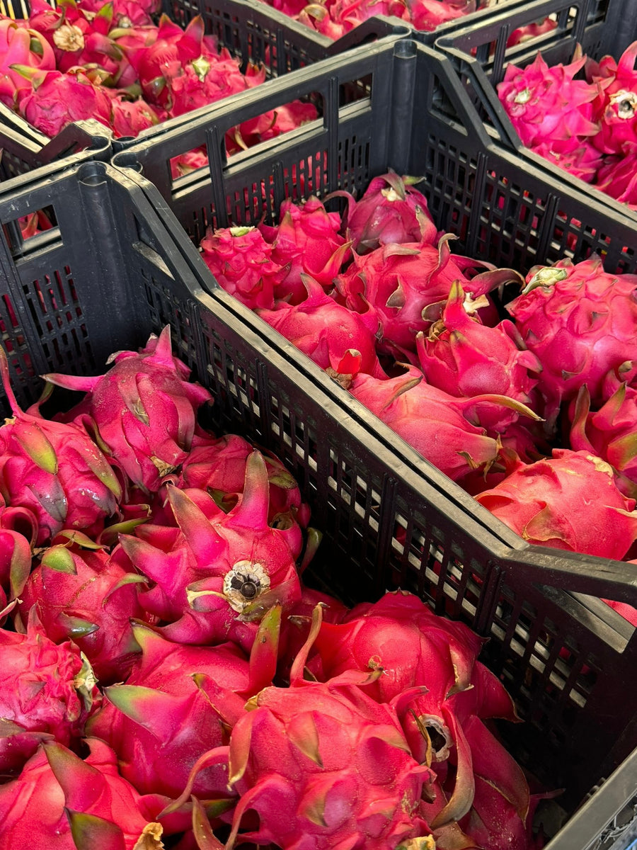 Pitahaya Premium — Fruta del Dragón seleccionada