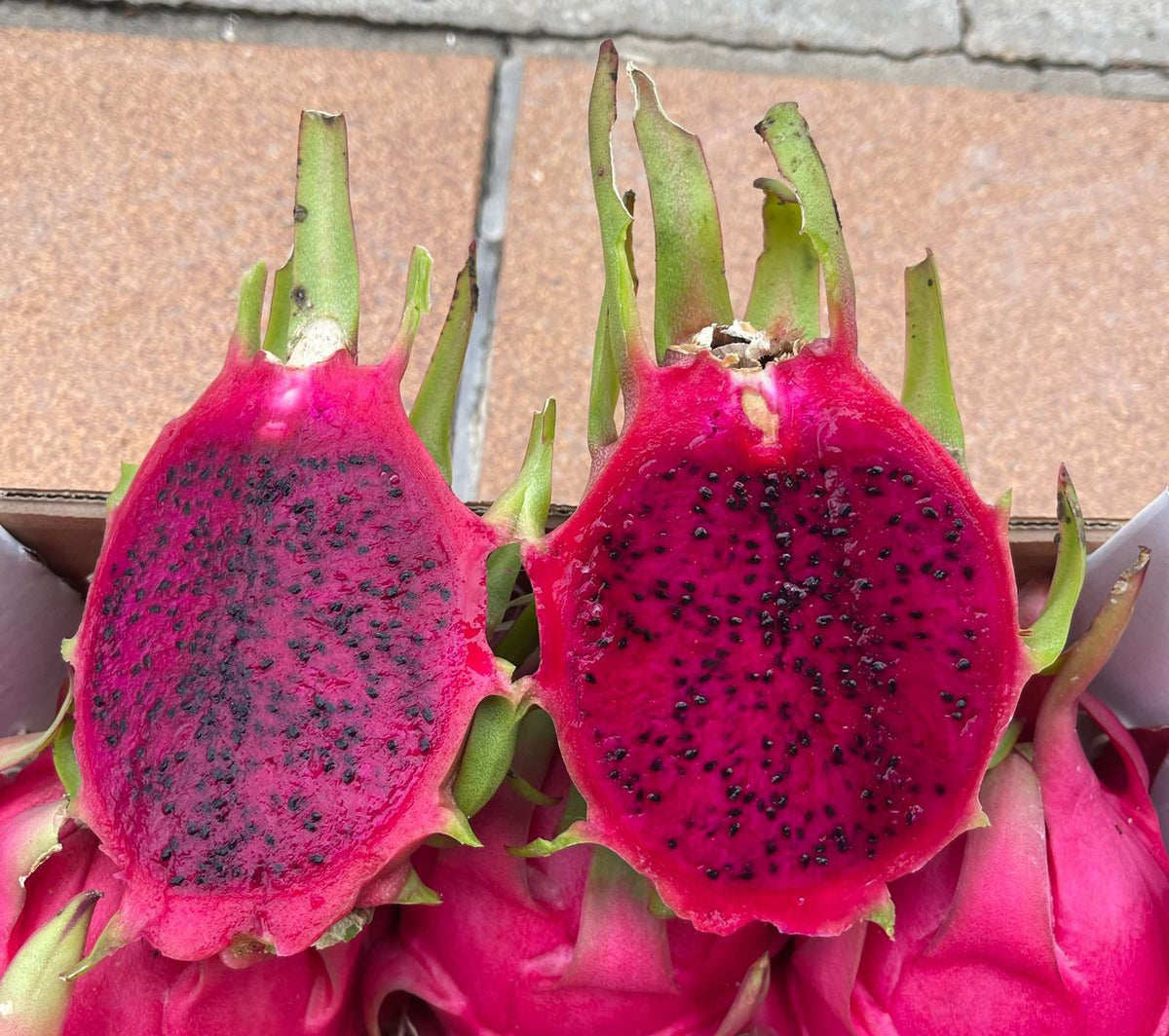 Pitahaya Premium — Fruta del Dragón seleccionada