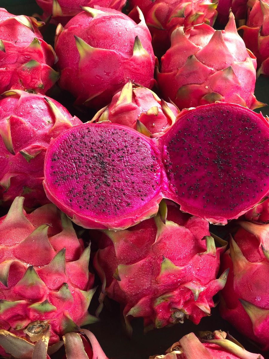 Pitahaya Premium — Fruta del Dragón seleccionada