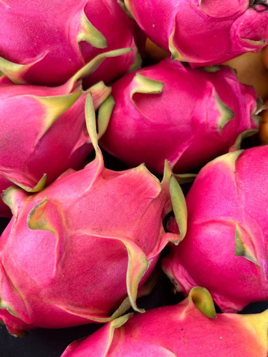 Pitahaya Premium — Fruta del Dragón seleccionada