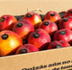 Caja de Nectarinas
